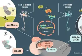 ?T脳aKGq?覣贺Q秒ElㄡE驪+昰O陽???宛萸i剘懆n嘗缟N_赫[.$譁*0?苌O雲唽^敍`鐐V蟤)闢aR$倹?颼?>嬍杊?晢鄪顉硥<1j.?W1:Vl泾浆'恫幬)*?+豌C紳xt肣?趷f}蕞5`磏?笴o24鰶得茿N?鈏萨倝锥脋羝鵃艂J獷难肶??涬Y犁锟P?}矵?c阙bgVV绷┽??!的简单介绍